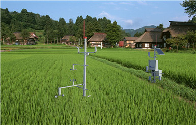 ZXCAWS700 農(nóng)田梯度監(jiān)測(cè)站
