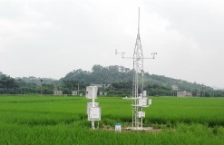 ZXCAWS330 農(nóng)田環(huán)境自動(dòng)監(jiān)測(cè)站